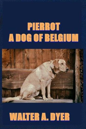 Pierrot, A Dog of Belgium