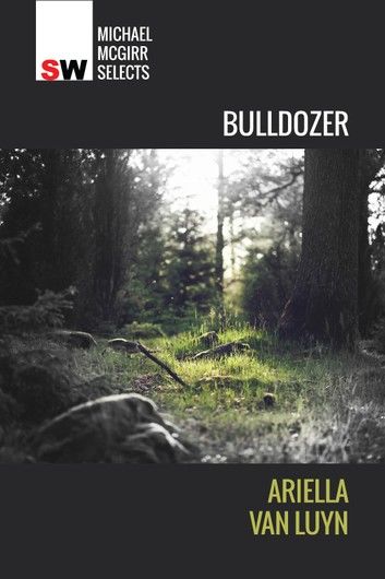 Bulldozer