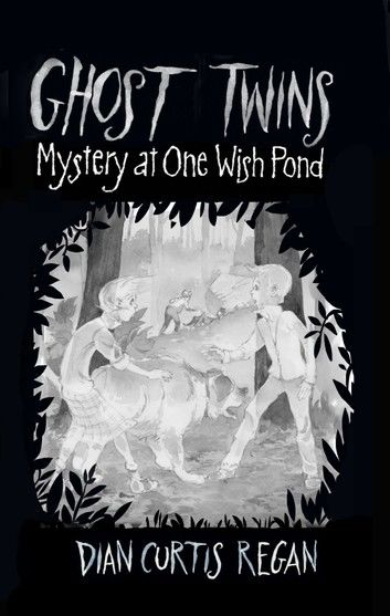 Ghost Twins: Mystery at One Wish Pond