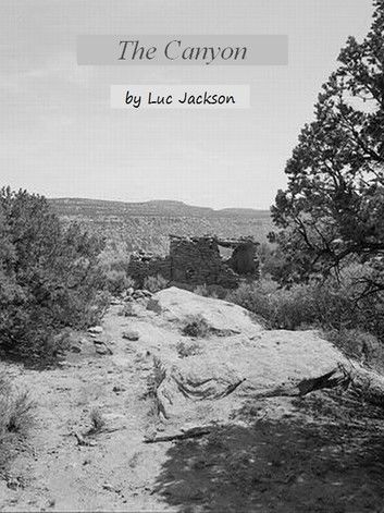 The Canyon