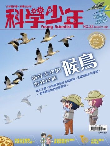 科學少年雜誌第22期 - 徜徉天空的遊牧民族 候鳥