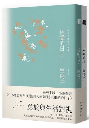 畢飛宇城市小說套書: 大雨如注+相愛的日子 (2冊合售)