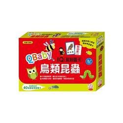 QBaby IQ認知圖卡／鳥類昆蟲