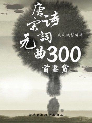 唐诗宋词元曲300首鉴赏（中华古文化经典丛书）