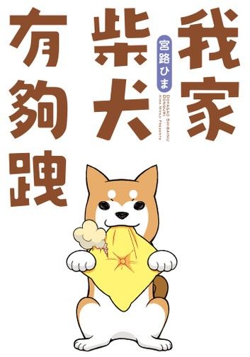 我家柴犬有夠跩