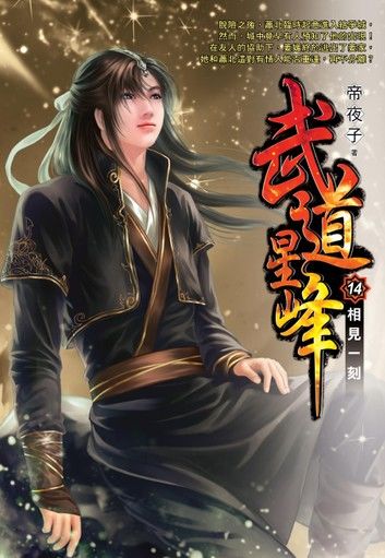 武道星峰14相見一刻 END