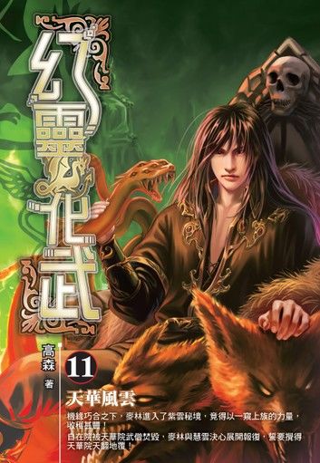幻靈化武11天華風雲