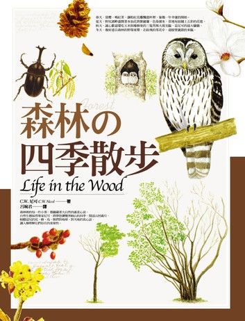 森林的四季散步