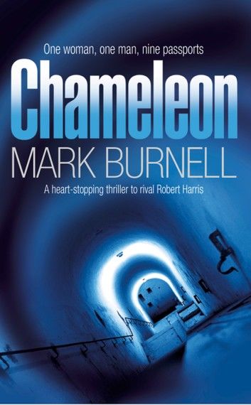 Chameleon (The Stephanie Fitzpatrick series, Book 2)