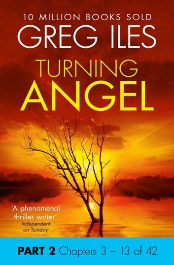 Turning Angel: Part 2, Chapters 3 to 13