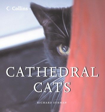 Cathedral Cats