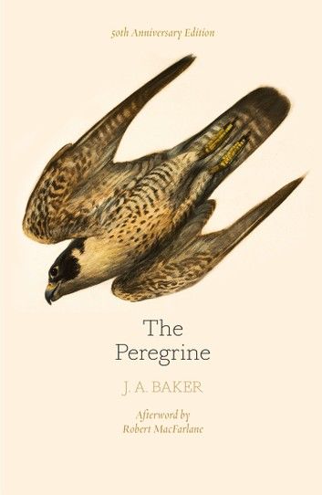 The Peregrine: 50th Anniversary Edition: Afterword by Robert Macfarlane