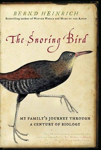 The Snoring Bird