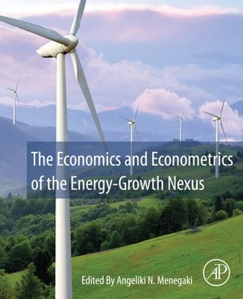 The Economics and Econometrics of the Energy-Growth Nexus