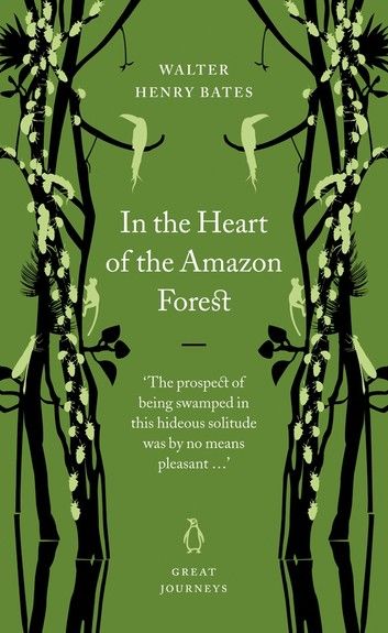 In the Heart of the Amazon Forest