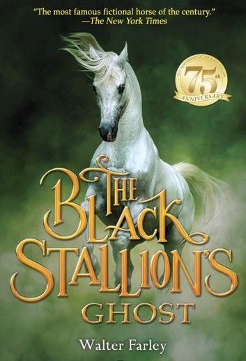 The Black Stallion\