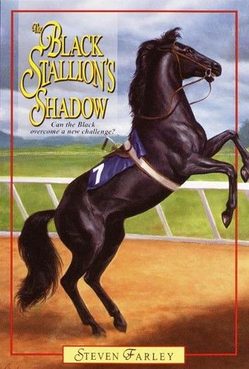 Black Stallion\