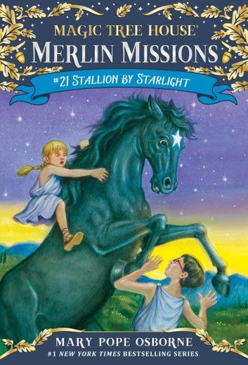 Stallion by Starlight