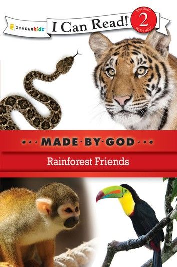 Rainforest Friends