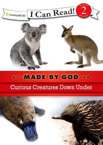 Curious Creatures Down Under