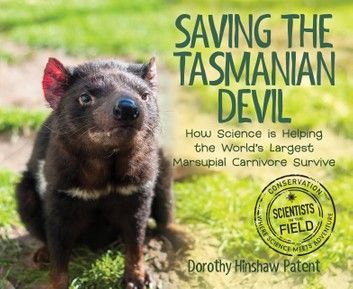 Saving the Tasmanian Devil