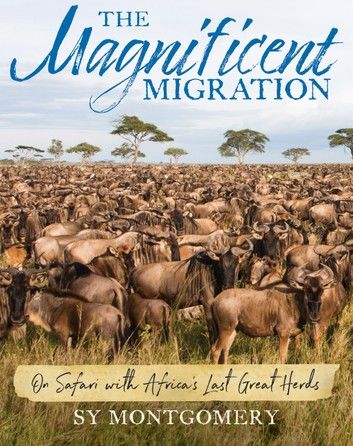 The Magnificent Migration