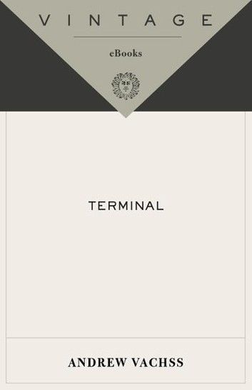 Terminal