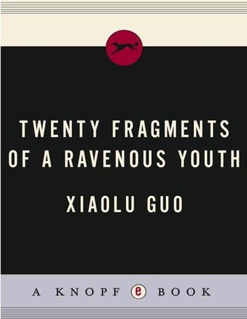 Twenty Fragments of a Ravenous Youth