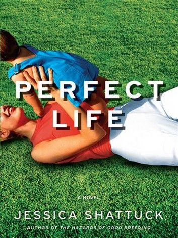 Perfect Life: A Novel