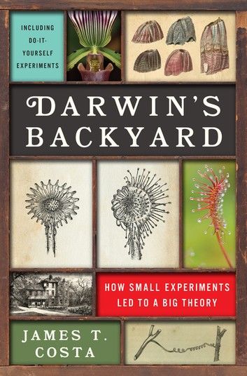 Darwin\