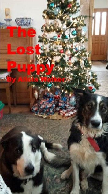 The Lost Puppy