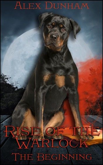Rise of the Warlock: The Beginning