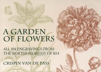 A Garden of Flowers