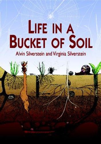 Life in a Bucket of Soil