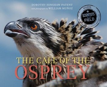 The Call of the Osprey