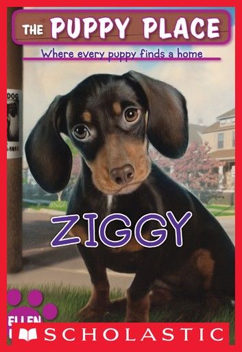 The Puppy Place #21: Ziggy