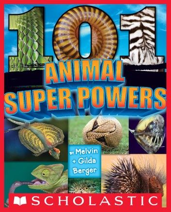 101 Hidden Animals