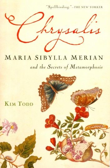 Chrysalis