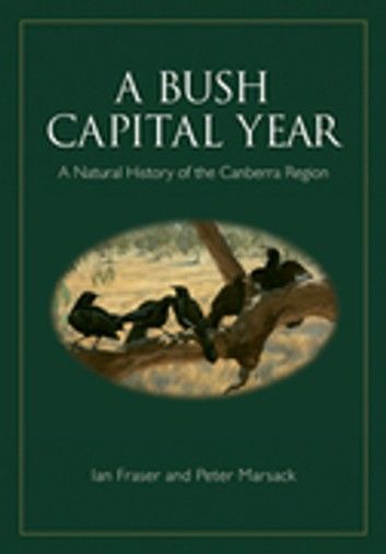 A Bush Capital Year