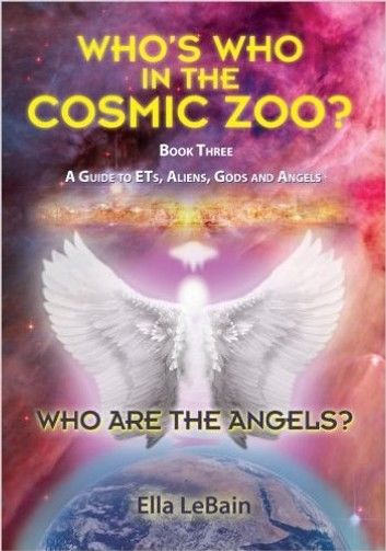 Who Are The Angels?: Who’s Who In The Cosmic Zoo? A Guide To ETs, Aliens, Gods & Angels - Book Three