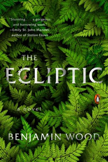 The Ecliptic