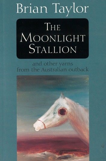 The Moonlight Stallion