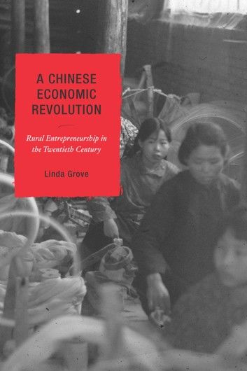 A Chinese Economic Revolution