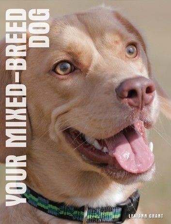 Your Mixed-Breed Dog