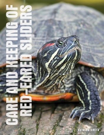 Your Red-Eared Slider