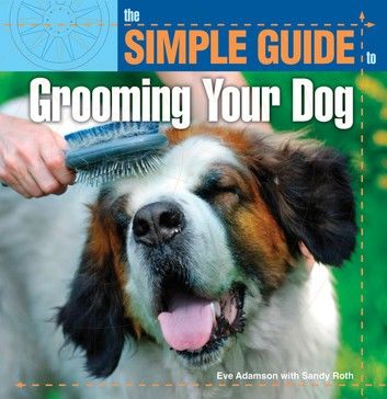 Simple Guide to Grooming Your Dog