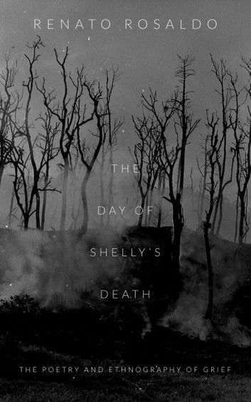 The Day of Shelly\