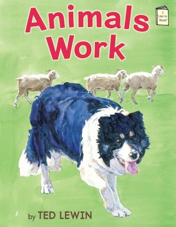 Animals Work