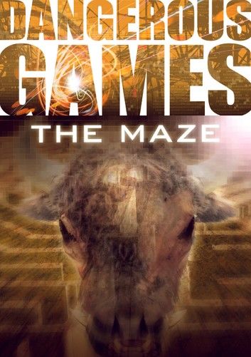 The Maze