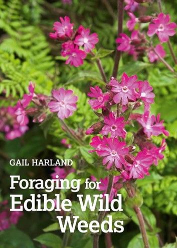 Foraging for Edible Wild Plants